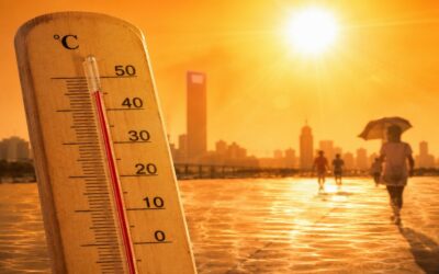 Canicule : protéger efficacement les agents des services