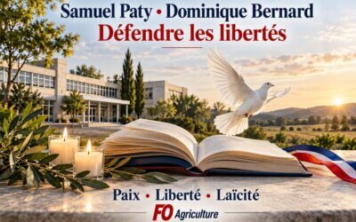 Samuel Paty, Dominique Bernard : libertés et protection
